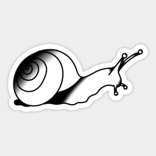 Snail Sticker